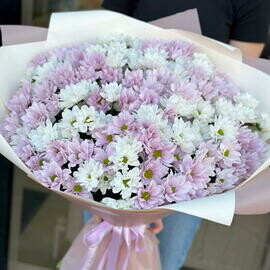 Buket kustovih hrizantem