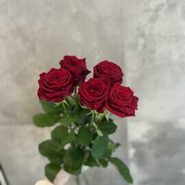 Buket roz krasnih roz 5sht