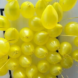 Vozdushnie shari 35sht