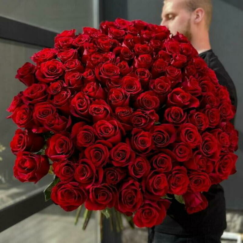 Buket krasnih roz 101sht, buket krasnih roz 101sht