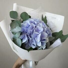 Букет из голубой гортензии