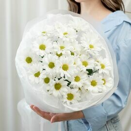 5 Romashkovih Hrizantem Buket