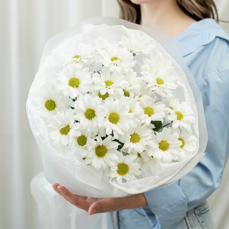 5 Romashkovih Hrizantem Buket, standart