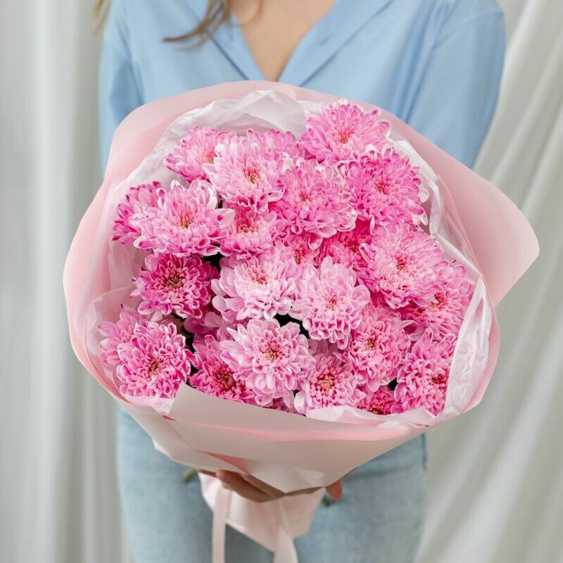 5 розовых хризантем (сорт Алтай), 5 розовых хризантем (сорт алтай)