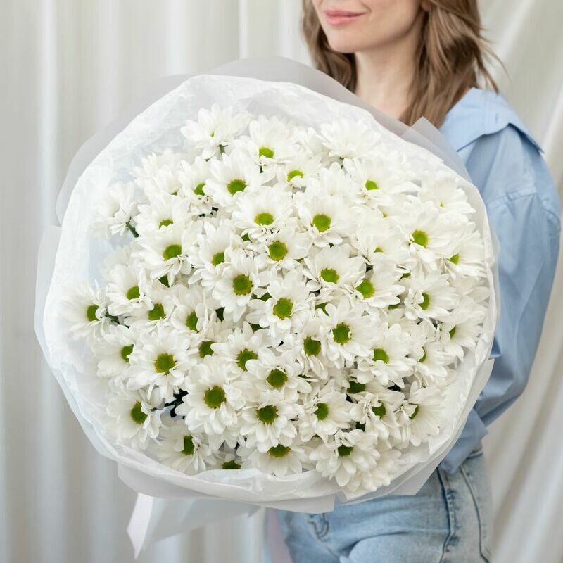 15 Ромашковых Хризантем Букет, премиум