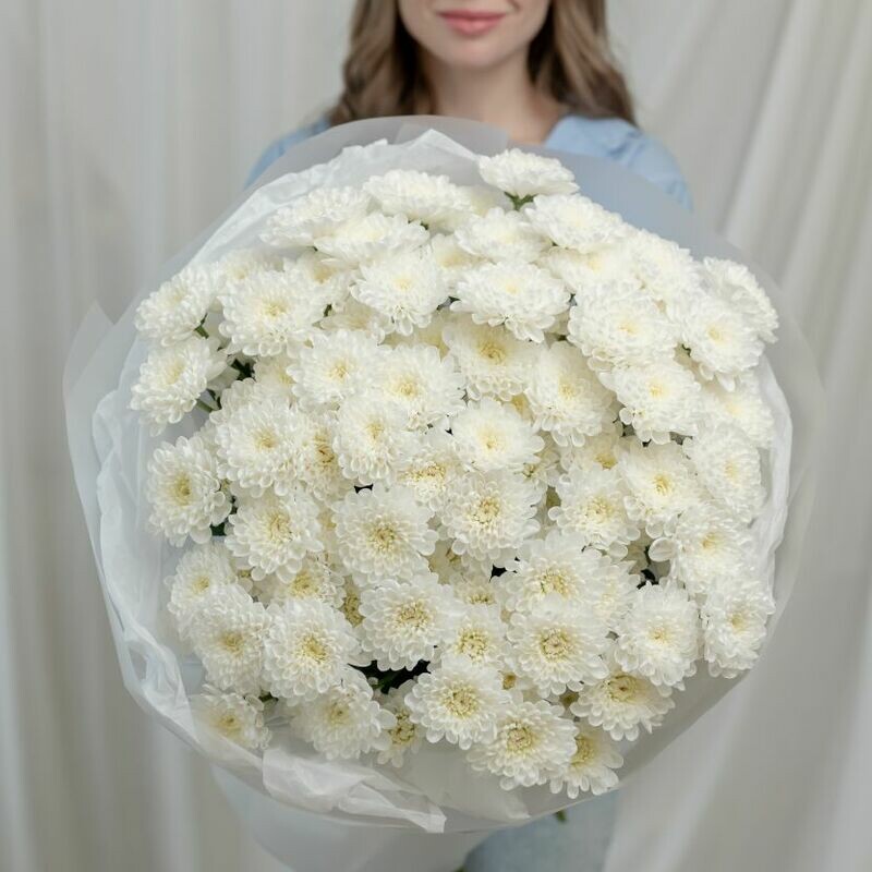 15 belih hrizantem (sort Altaj), 15 belih hrizantem (sort altaj)