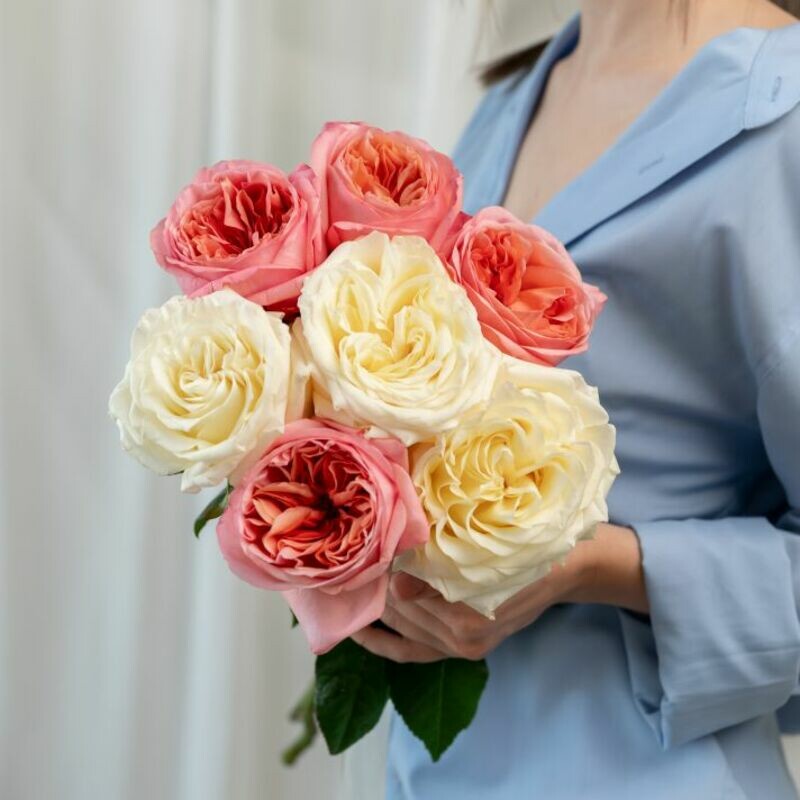 7 пионовидных роз микс под ленту , уменьшенный