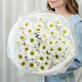 9 Romashkovih Hrizantem Buket