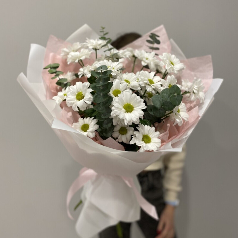 Romashkovie hrizantemi «Solnechnoe utro», standart