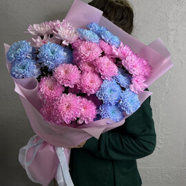 Разноцветные хризантемы «Бабл Гам»