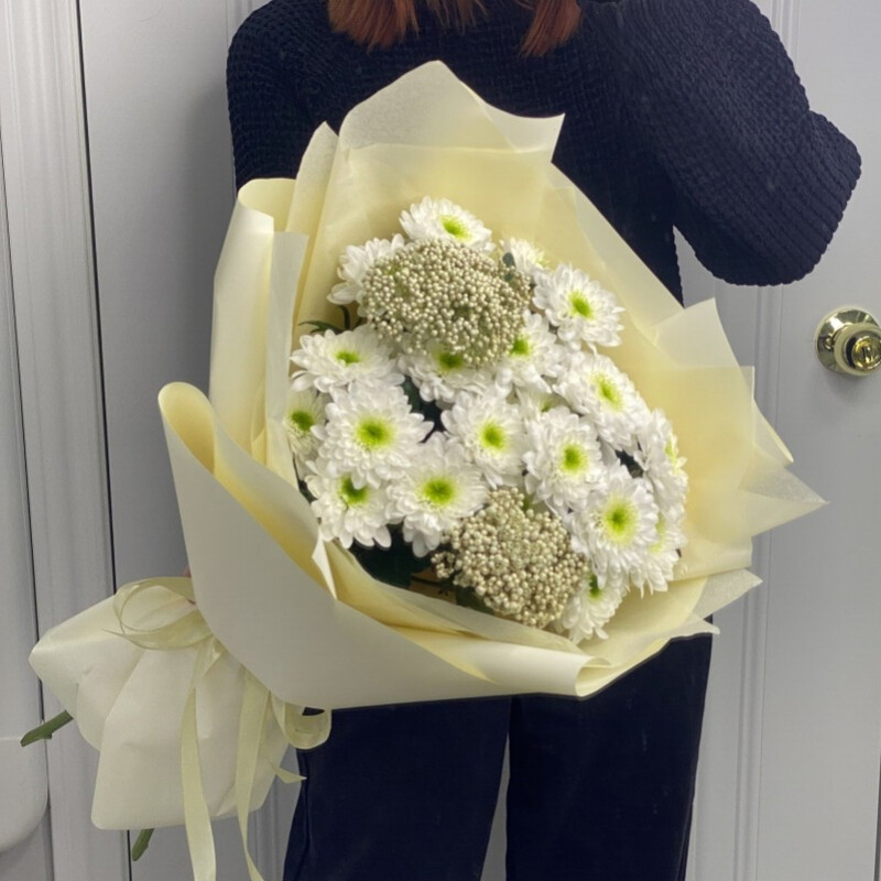 Belie kustovie hrizantemi i ozotamnus «Oblako nezhnosti», standart