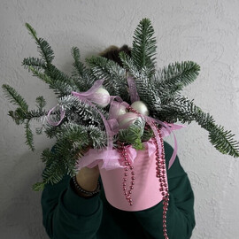 Новогоднее настроение