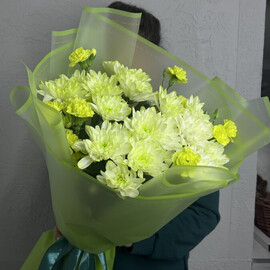 Хризантема Fresh