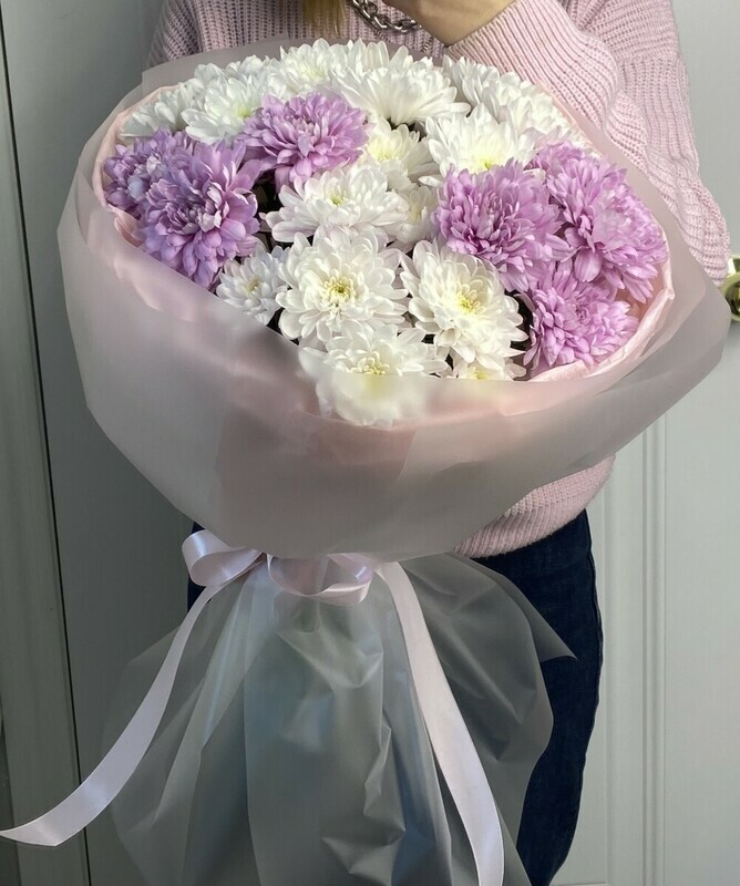 Хризантемы моно, хризантемы моно 