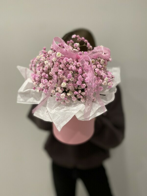 Gipsofila v shlyapnoj korobke, standart