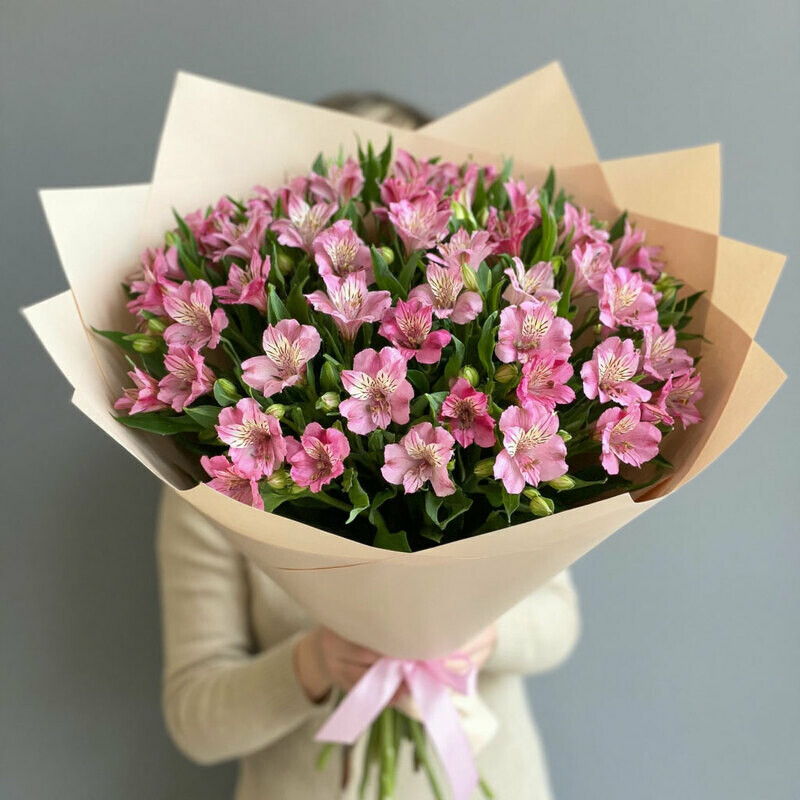 al_stromerii, standart