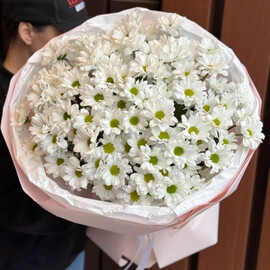 Букет из 15 ромашковых хризантем