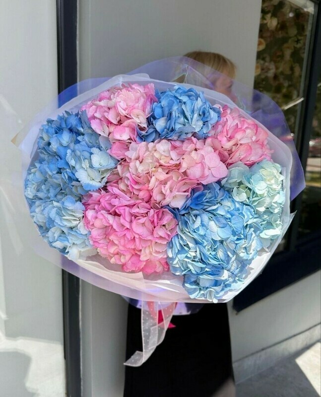 Volshebnie gortenzii, premium