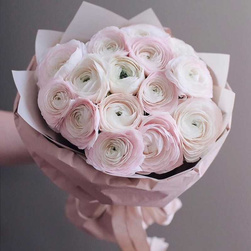 Buket iz 15 ranunkulyusov, buket iz 15 ranunkulyusov