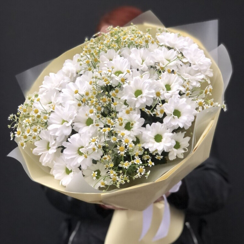 Хризантема и ромашки Камилла , стандартный