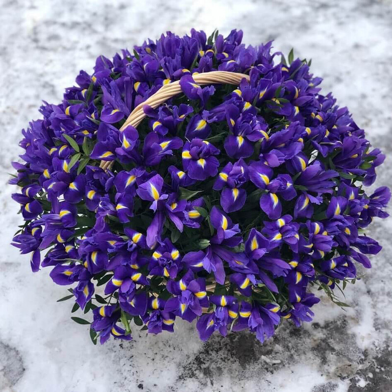 Корзина из 201 ириса, делюкс