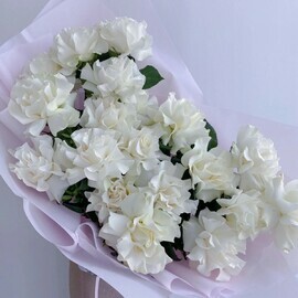 Белоснежный комплимент