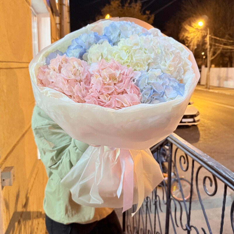 Pushistie gortenzii 7 shtuk, buket iz 7 gortenzij