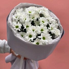 Букет из 5 ромашковых хризантем