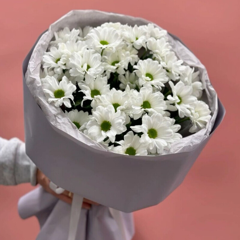 Букет из 5 ромашковых хризантем, букет из 5 хризантем