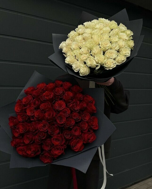 Kombo nador, standart