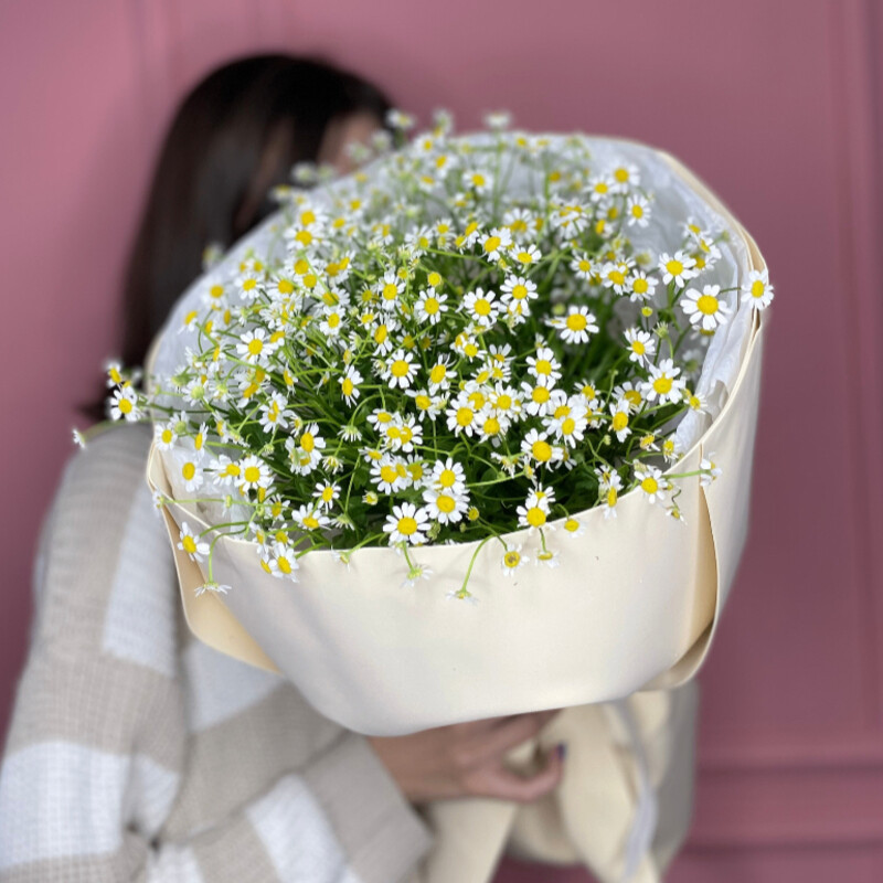 Ромашковая поляна, букет из 7 танацетума