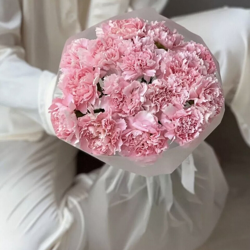 Buket iz 15 diantusov, buket iz 15 diantusov