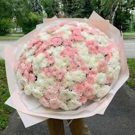 Buket iz 51 kustovoj hrizantemi