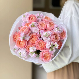 Роза Джульетта и Маттиола