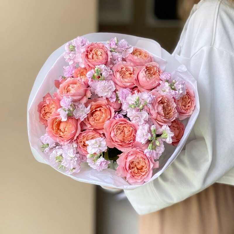 Роза Джульетта и Маттиола, стандартный