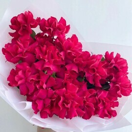 Малиновый щербет