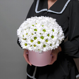 Romashkovaya polyana