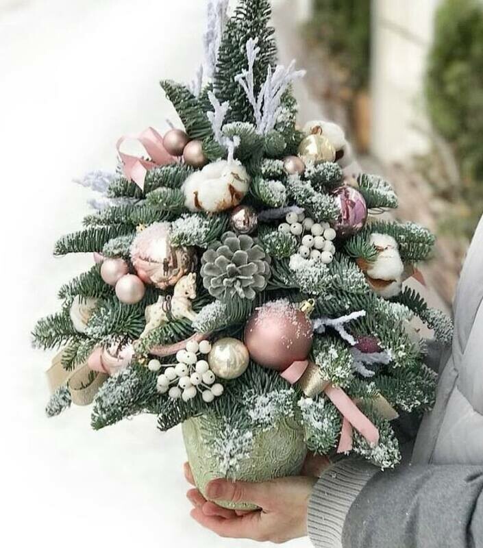 Elochka iz nobilisa, standart