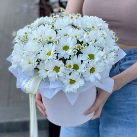 Хризантема и ромашки