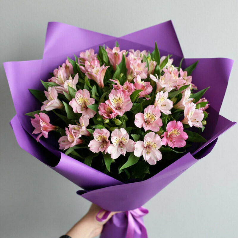 nezhnie al_stromerii, standart