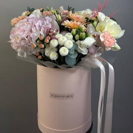 SHlyapnaya korobka XL