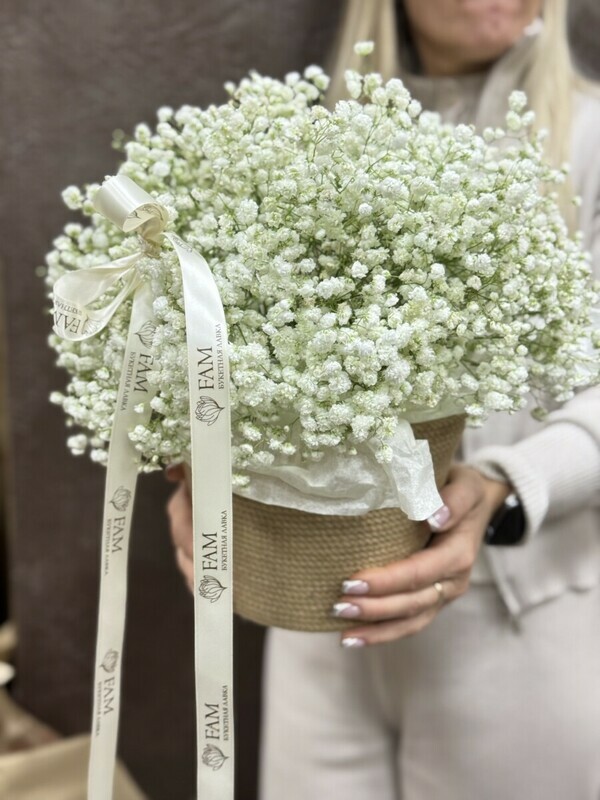 Dzhutovoe kashpo s gipsofiloj, premium