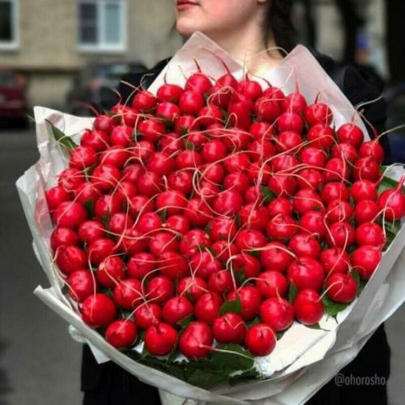 101 редис, 101 редис