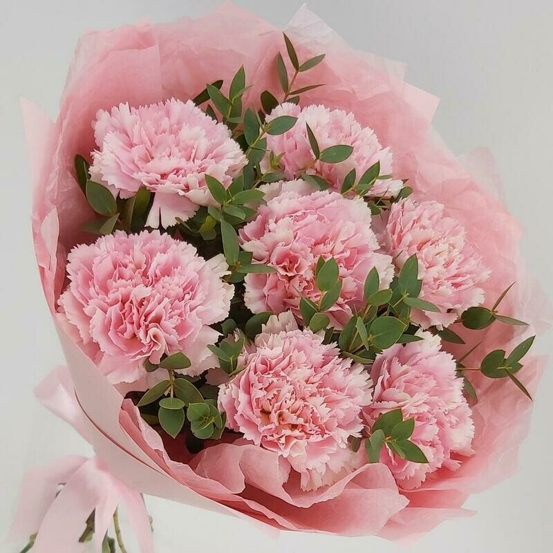 Nezhnie diantusi, standart