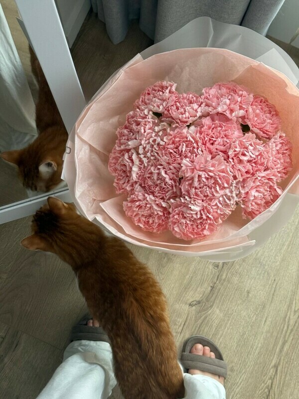 Букет с розовыми диантусами , стандартный