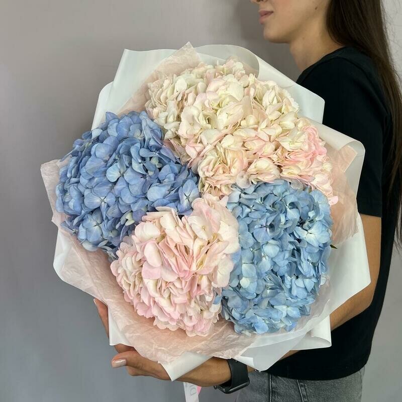 Букет из 5 гортензий, монобукет из 5 гортензий