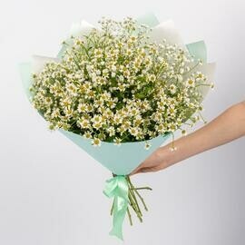 Нежный букет Ромашек