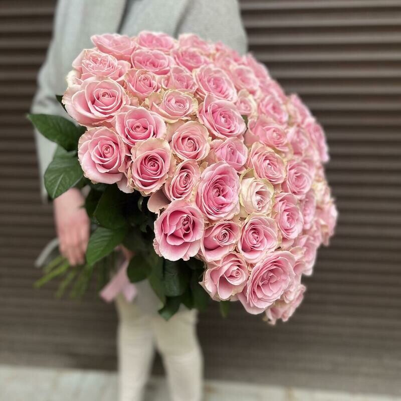 51 роза букет нежно розовая роза, монобукет из 51 розы