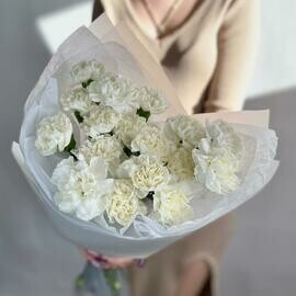 Bouquet of white dianthuses