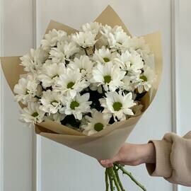 Букет «Ромашки в бежевом»